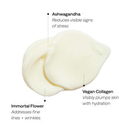 Daydream Crème Daily Lightweight Moisturizer