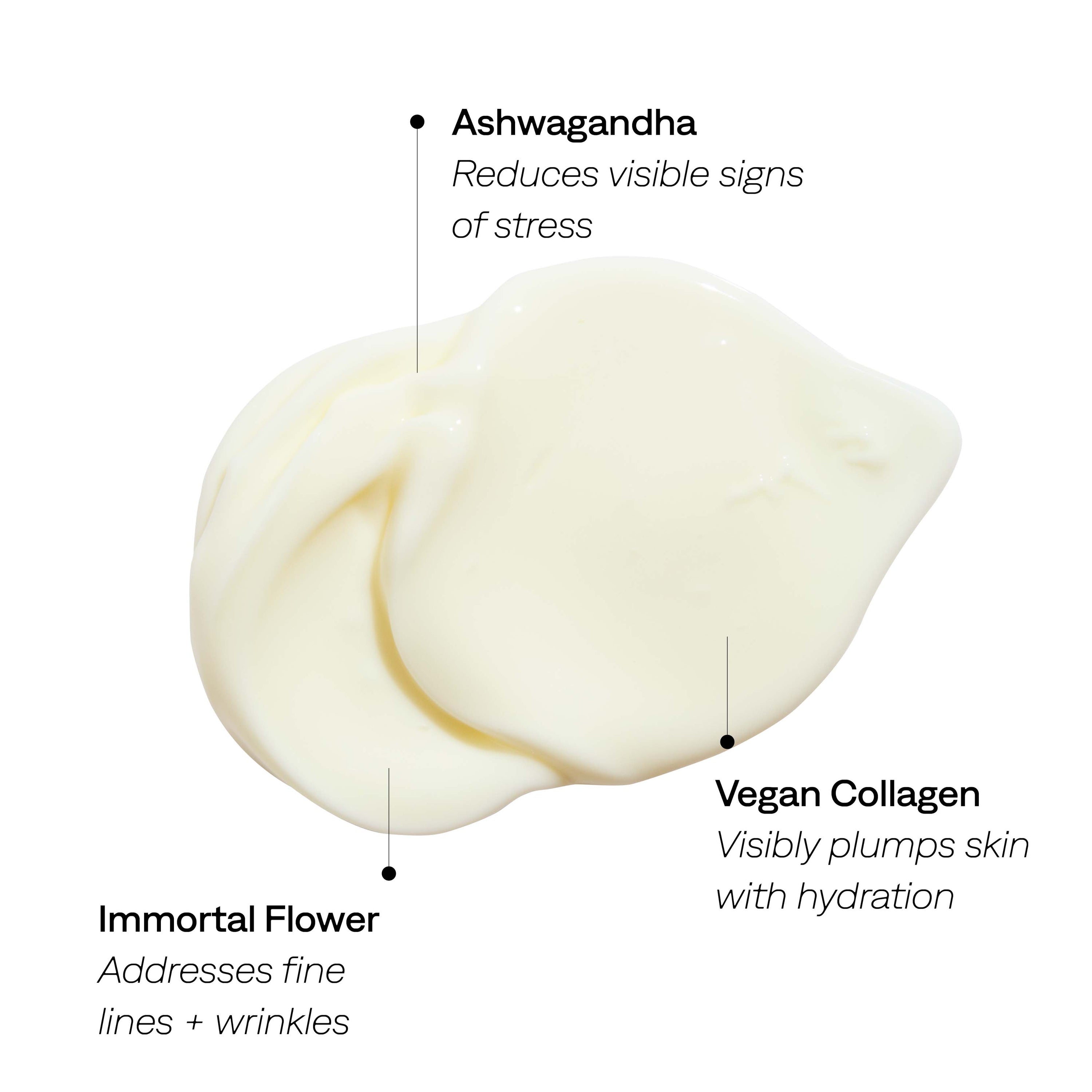 Daydream Crème Daily Lightweight Moisturizer