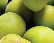 KAKADU PLUM