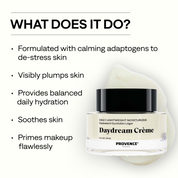 Daydream Crème Daily Lightweight Moisturizer