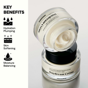 Daydream Crème Daily Lightweight Moisturizer