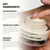 Daydream Crème Daily Lightweight Moisturizer