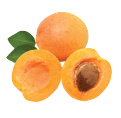 Icon - Apricot