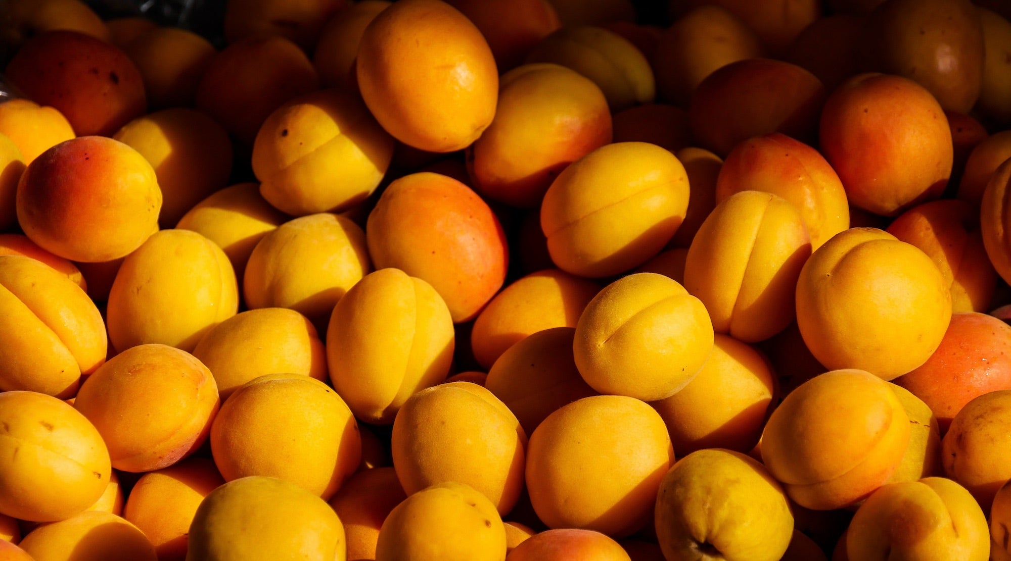 ingredient-apricot.jpg